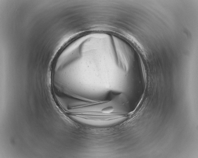 X0000116141376200912071234