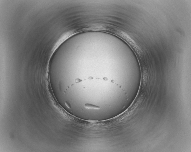 X0000116141378200912071234