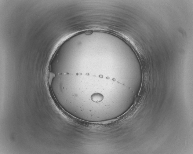 X0000116141379200912071234