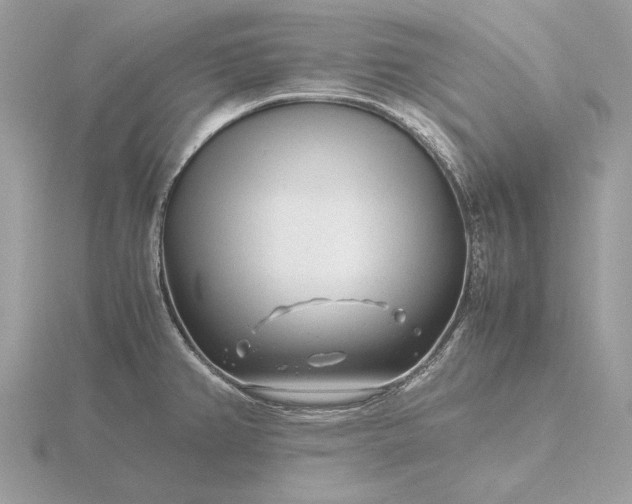 X0000116141382200912071234