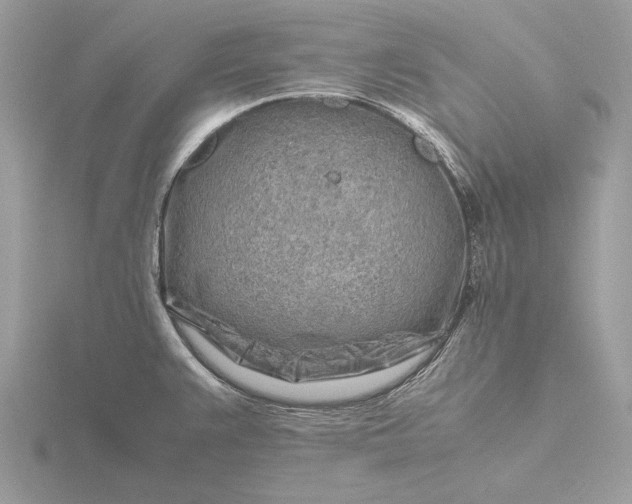 X0000116141383200912071234