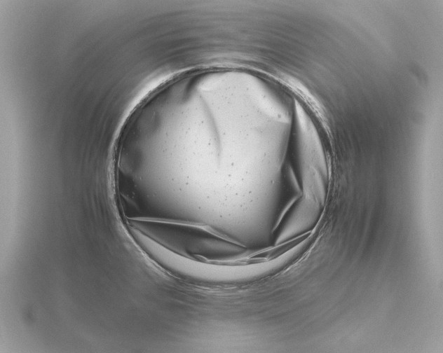 X0000116141384200912071234