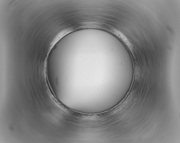 X0000116141386200912071234