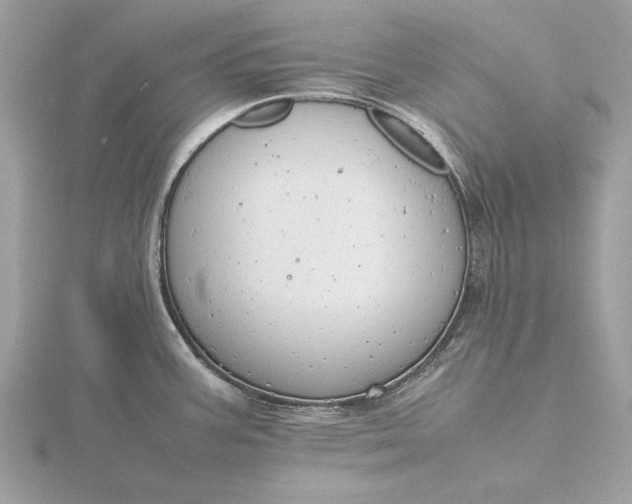 X0000116141387200912071234