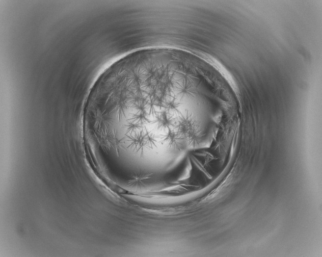 X0000116141388200912071234