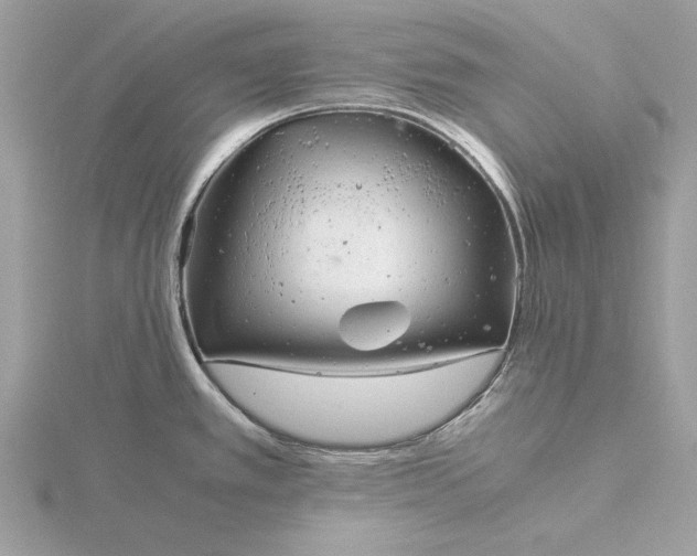 X0000116141389200912071234