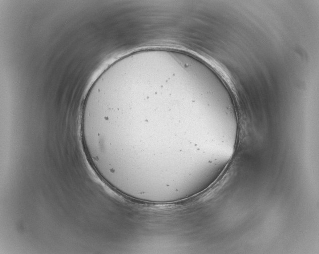 X0000116141390200912071234