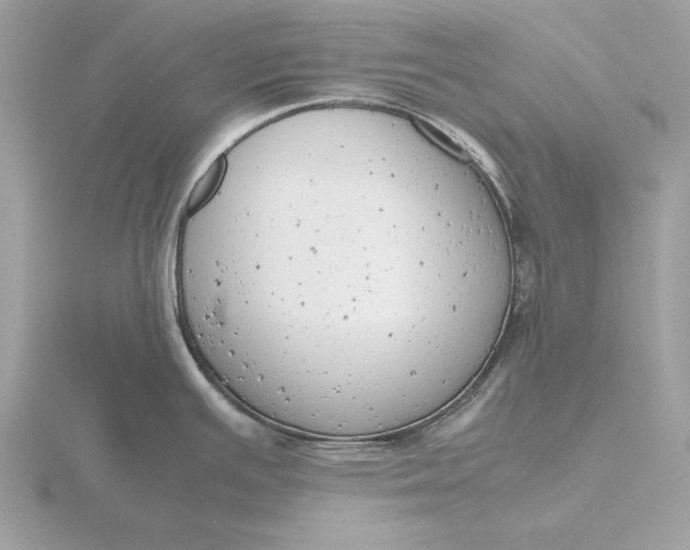 X0000116141391200912071234