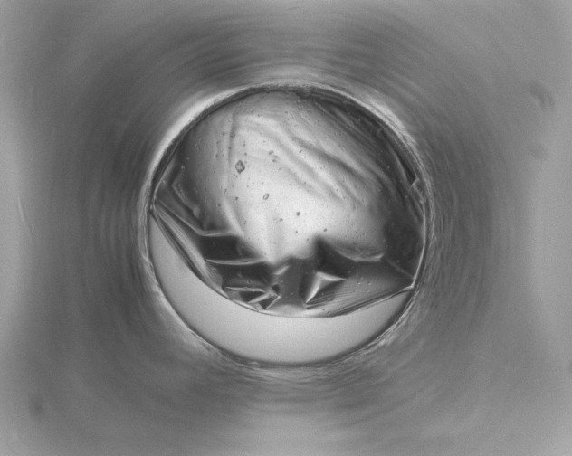 X0000116141392200912071234