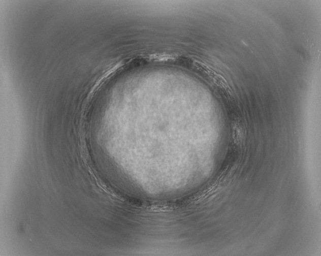 X0000116141393200912071233