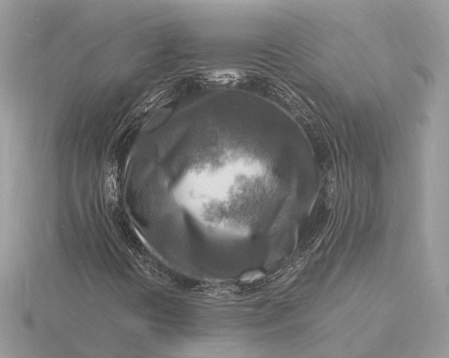 X0000116141394200912071233