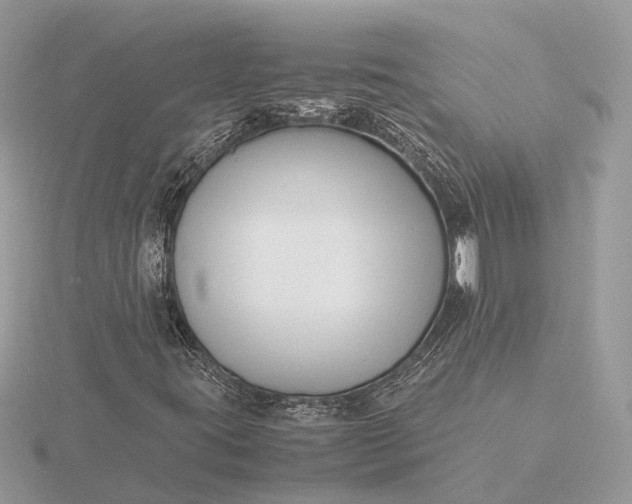 X0000116141395200912071233