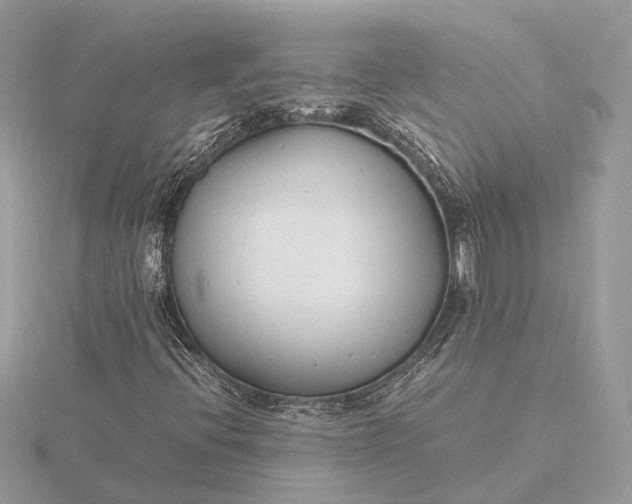 X0000116141396200912071233