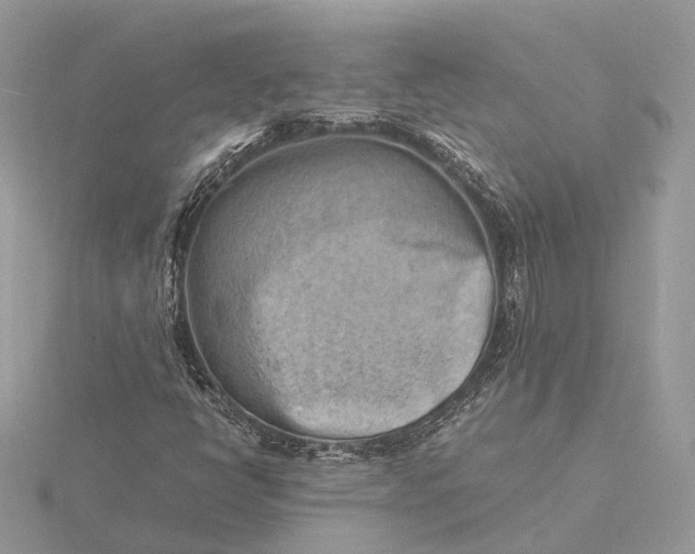 X0000116141398200912071233