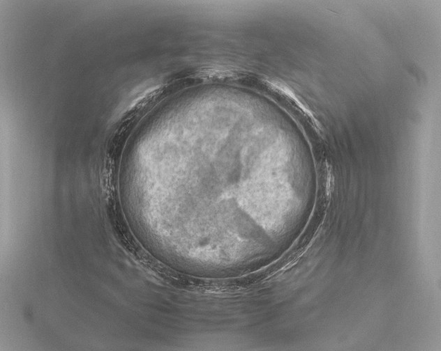 X0000116141399200912071233