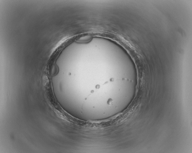 X0000116141400200912071233