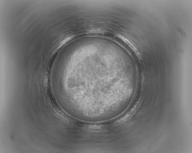 X0000116141401200912071233