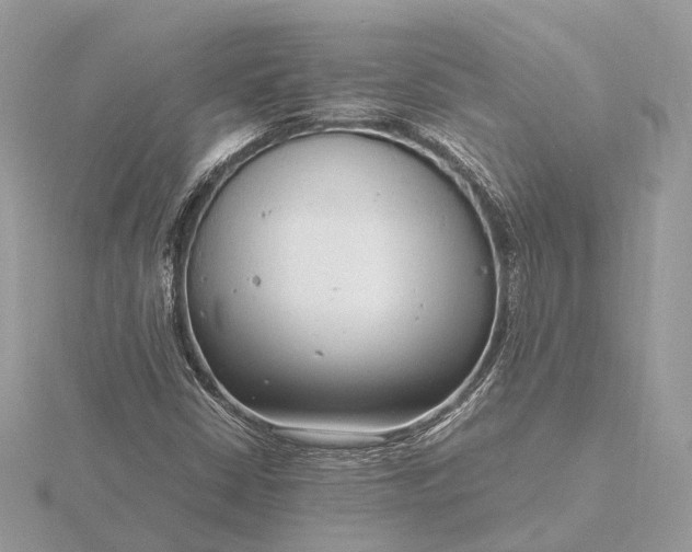 X0000116141402200912071233