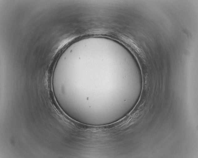 X0000116141404200912071233