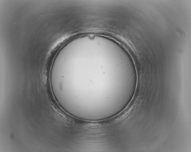 X0000116141406200912071233