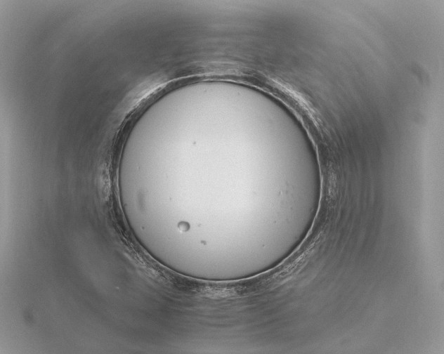 X0000116141407200912071233