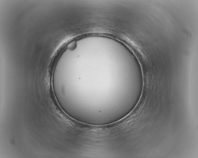 X0000116141408200912071233