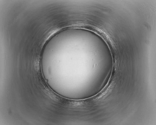 X0000116141409200912071233