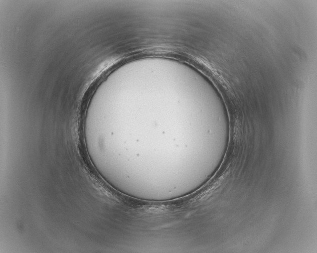 X0000116141410200912071233