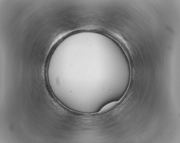 X0000116141412200912071233