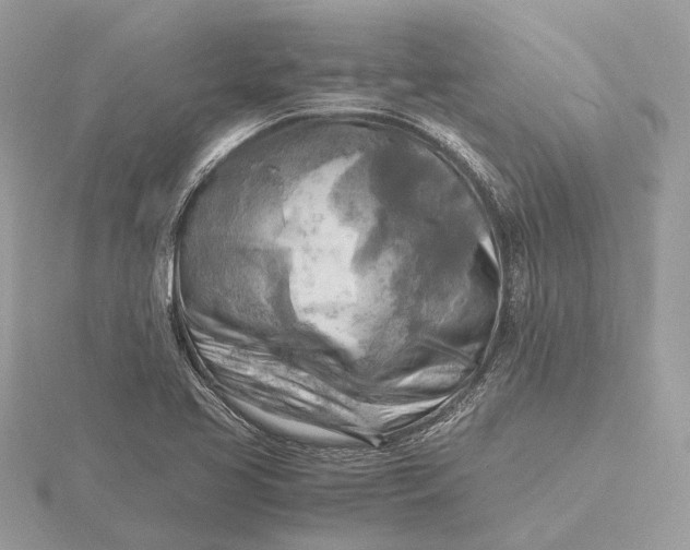 X0000116141413200912071233