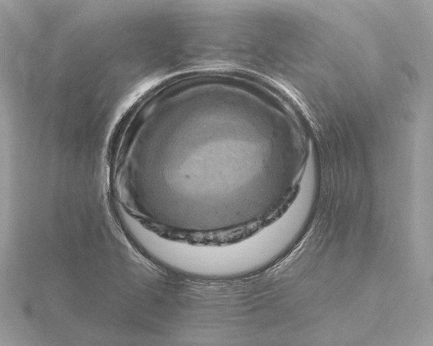 X0000116141414200912071234