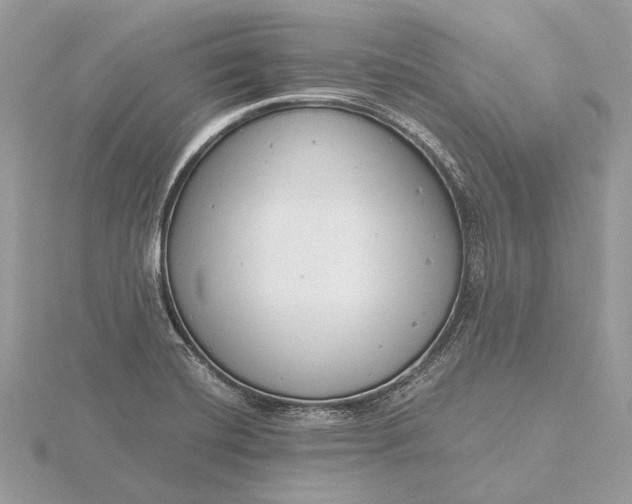 X0000116141420200912071234