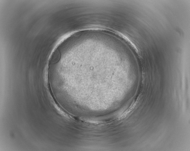 X0000116141421200912071234