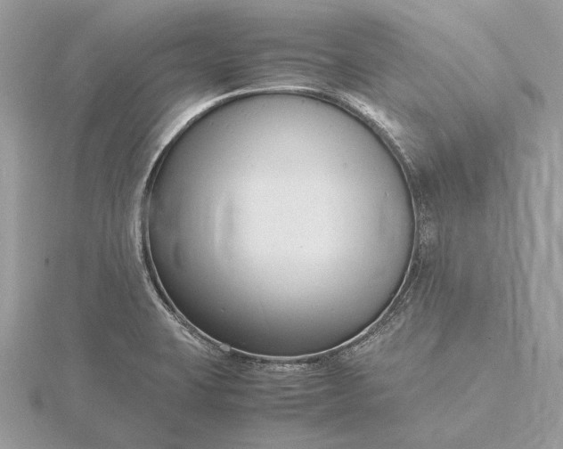 X0000116141423200912071234