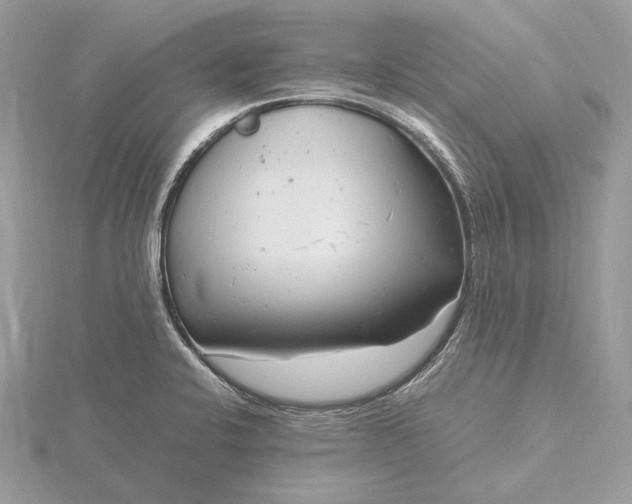 X0000116141424200912071234