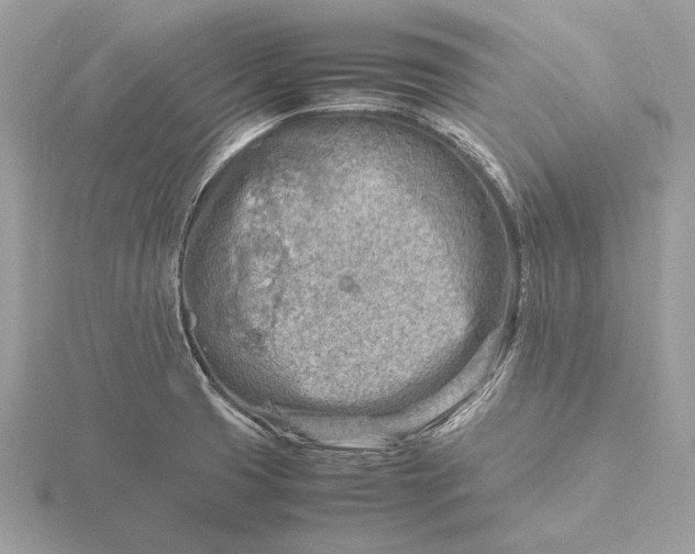 X0000116141425200912071234