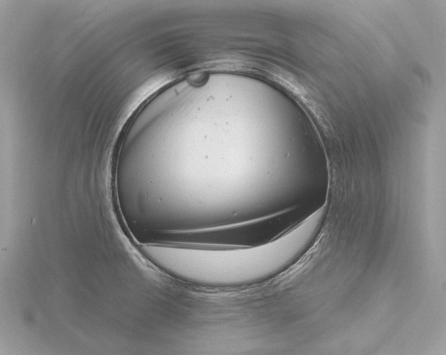 X0000116141426200912071234