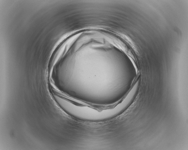 X0000116141428200912071234