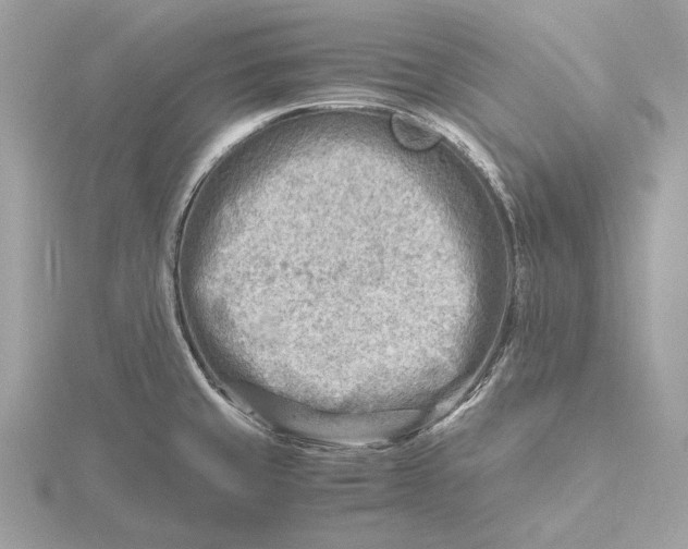 X0000116141429200912071234