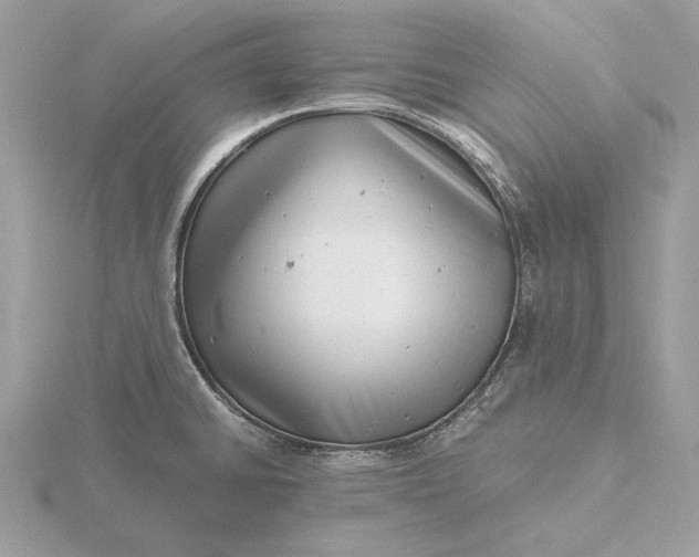 X0000116141430200912071234