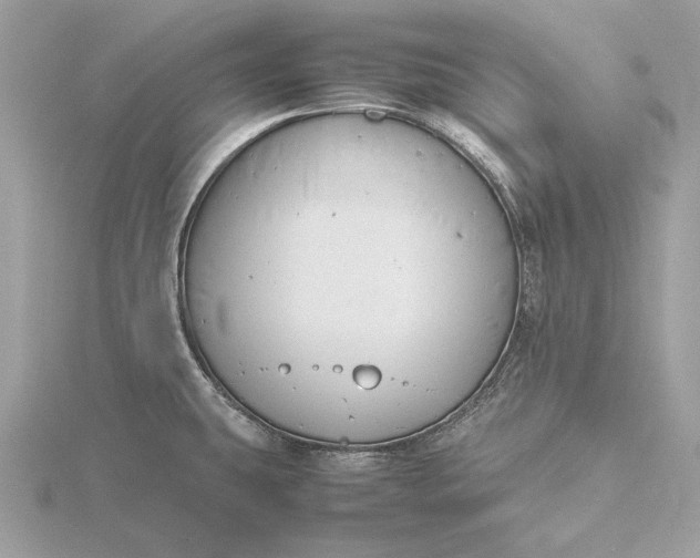 X0000116141431200912071234