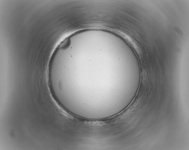 X0000116141432200912071234