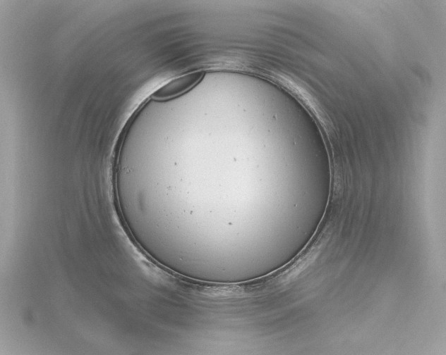 X0000116141434200912071234