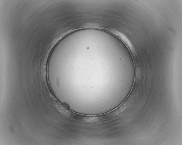 X0000116141435200912071234