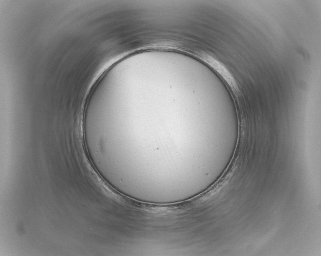 X0000116141436200912071234