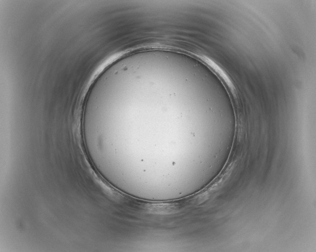 X0000116141437200912071234