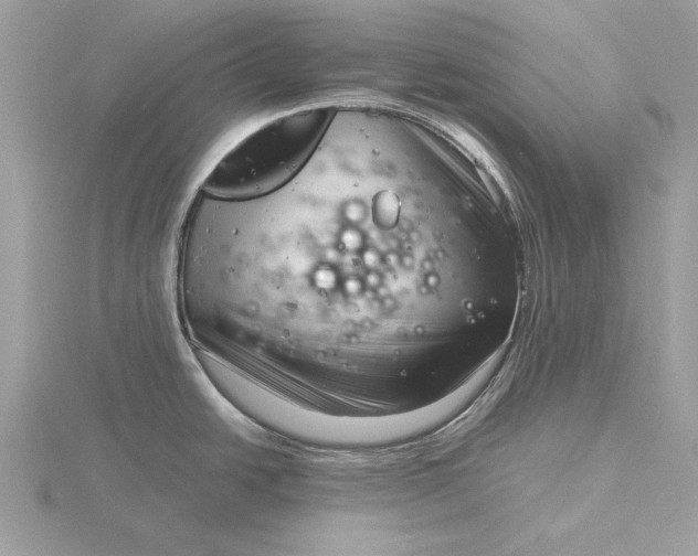 X0000116141438200912071234