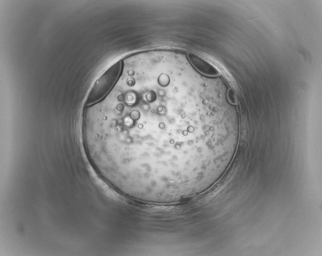 X0000116141439200912071234