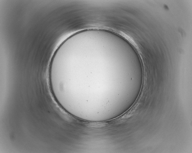 X0000116141440200912071234