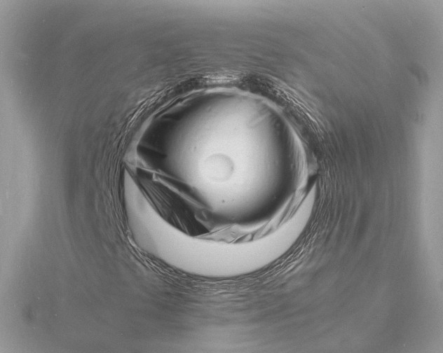 X0000116141441200912071233